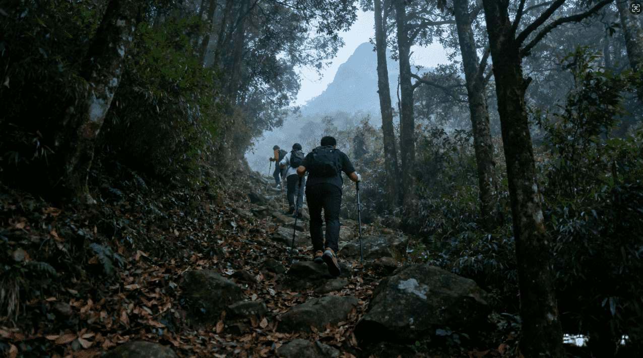 黑洞加速器软件存在安全风险吗？请注意这些潜在危险与应对措施
